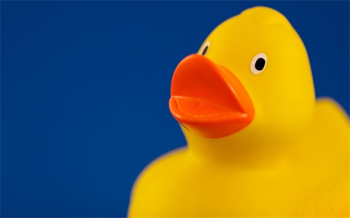 律师资格证考试报名条件